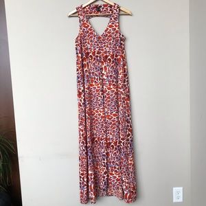 Animal Print Maxi Dress